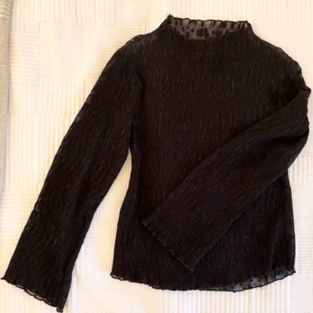 NWOT Decjuba Sheer Mock neck Blouse
